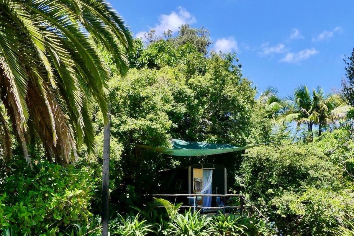 Pagoda Lodge Kerikeri Εξωτερικό φωτογραφία