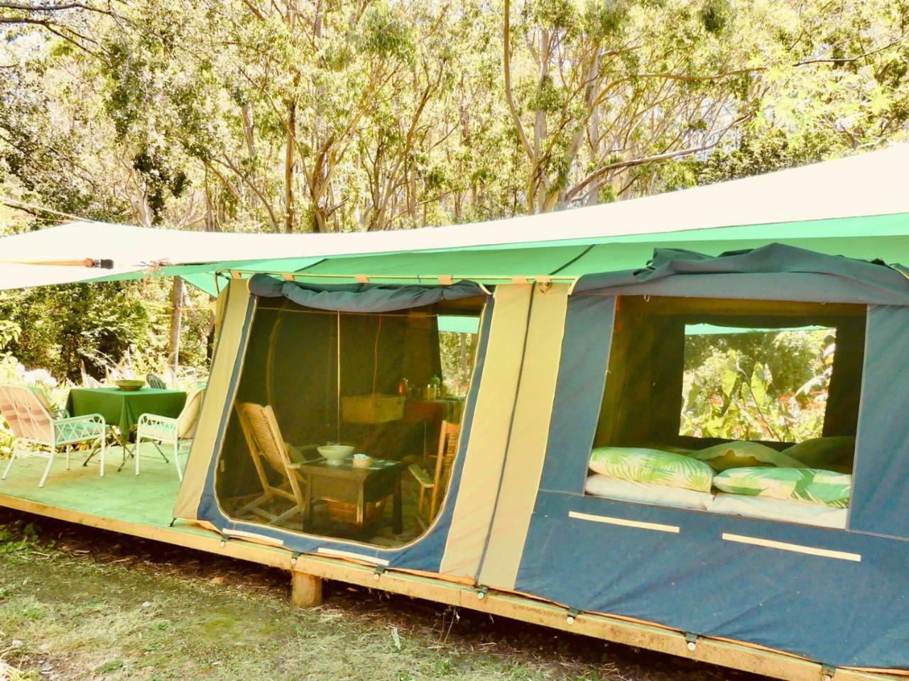 Pagoda Lodge Kerikeri Εξωτερικό φωτογραφία