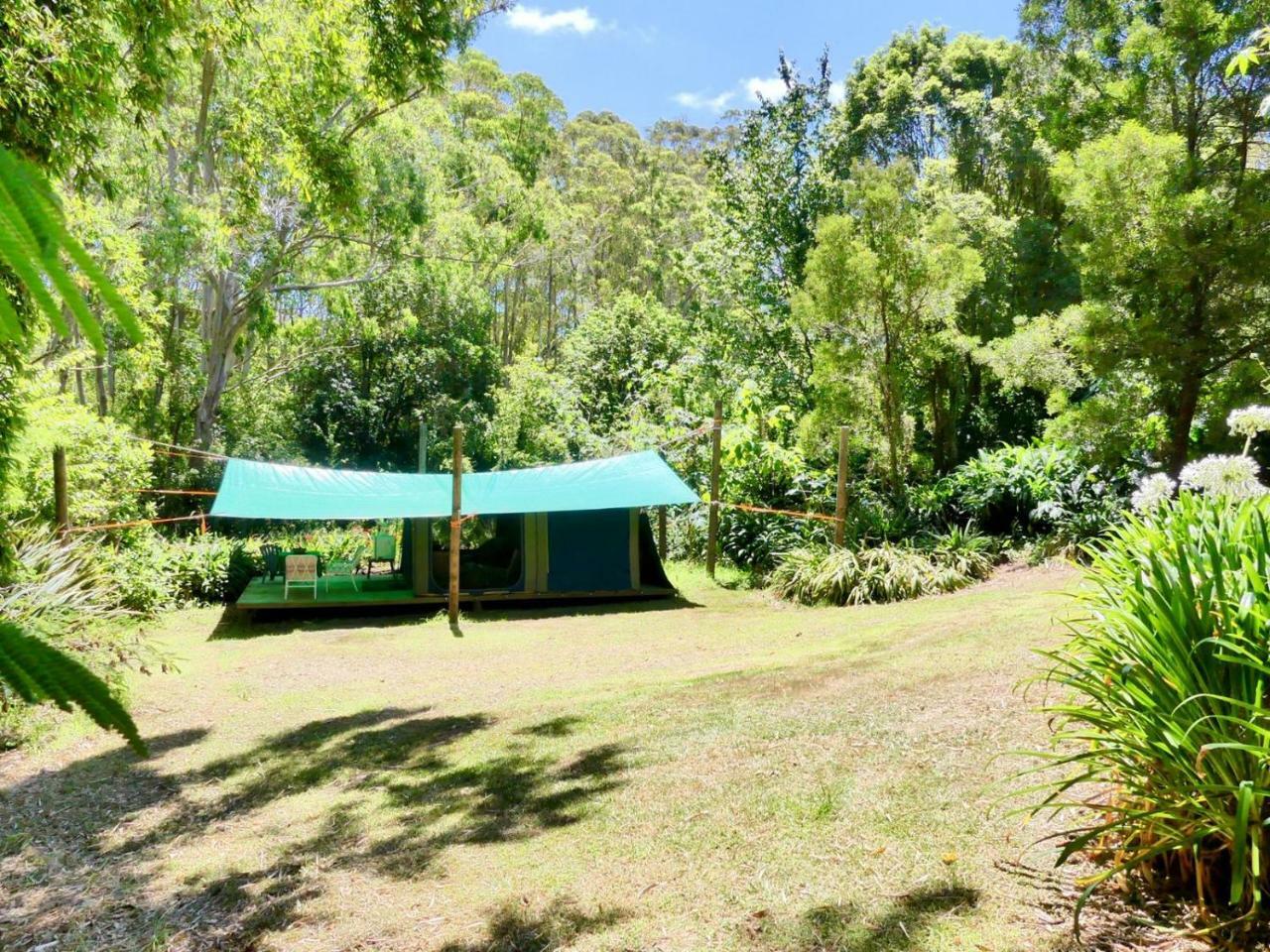 Pagoda Lodge Kerikeri Εξωτερικό φωτογραφία
