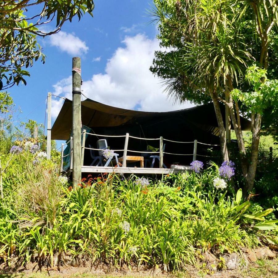 Pagoda Lodge Kerikeri Εξωτερικό φωτογραφία