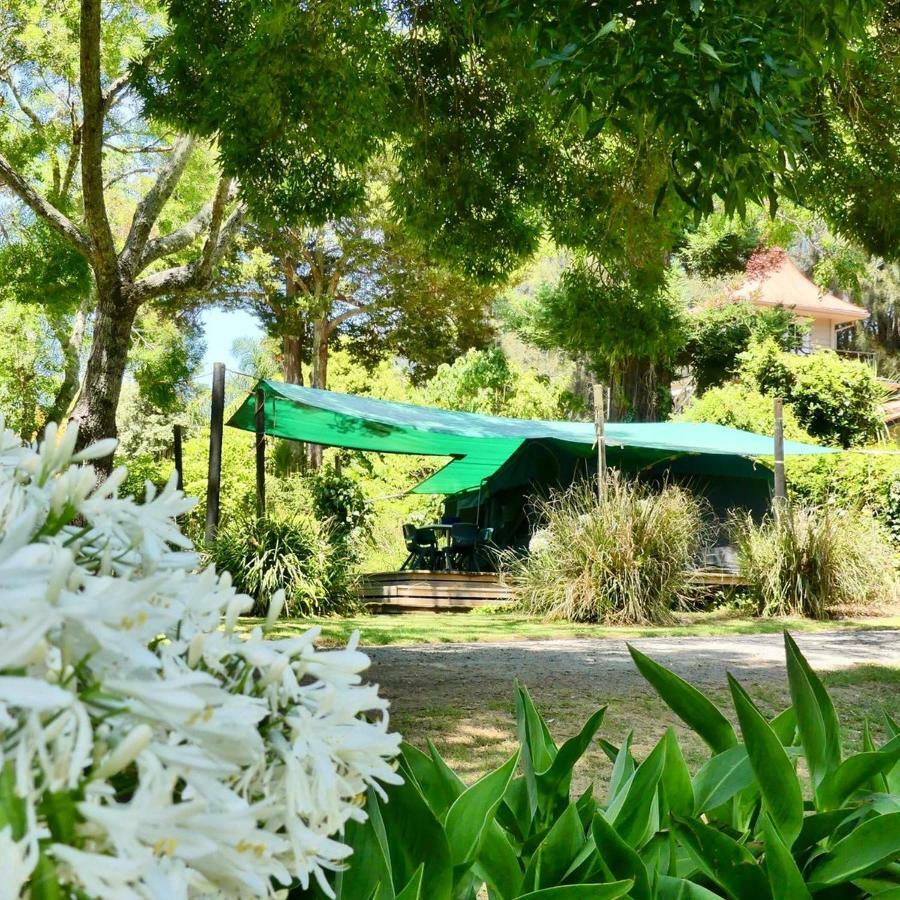 Pagoda Lodge Kerikeri Εξωτερικό φωτογραφία